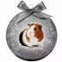 Plenty Gifts Kerstbal Frosted Cavia Zilver 10 CM