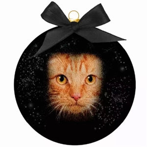Plenty Gifts Kerstbal Frosted Rode Kat Ogen Zwart 10 CM