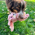 Kong Scrumplez Bunny Pluche Met Piep Roze 21X28X8 CM