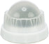 Trixie Catnip Bal Met Houder Zelfklevend 5 Cm