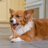 Petstages Dogwood Flip & Chew 18X6,5X6 CM