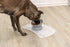 Trixie Verhoogde Voerbak / Waterbak Keramiek Grijs 350 Ml 17 Cm