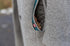 Trixie Beloningszakje Snackzakje Pocket Treat Assorti 15X3X15,5 Cm