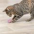 Trixie Zeepaard Pluche Met Catnip Assorti 11 Cm
