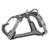 Trixie Hondentuig Premium Active Zwart 39-56X1,5 Cm