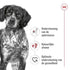 Royal Canin Medium Adult 4 Kg