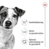 Royal Canin Mini Adult 4 Kg