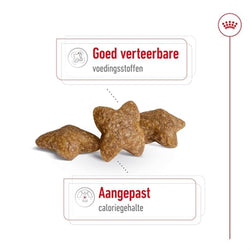 Royal Canin Mini Adult 8 Kg