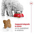 Royal Canin Mini Adult 8 Kg