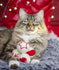 Cupid & Comet Wollen Ballen 4 ST