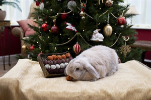 Cupid & Comet Advent Gift 'N' Forage Truffel Schaal 20X13X5 CM