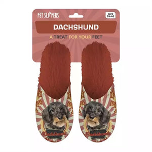 Merkloos Pantoffel Dachshund Teckel Oranje MAAT 39-42