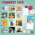 Merkloos Kalender Funniest Cats 2025 30X30 CM