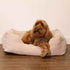 Rosewood 40 Winks Hondenmand Cord Ribstof Beige 61X46X20 CM