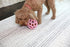 Jw Hol-Ee Roller Trend-Ee Roze 14X14X14 Cm