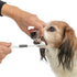 Trixie 3-Koppige Tandenborstel Hond / Kat Wit / Grijs 18 Cm