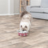 Trixie Cat Activity Hide'n'sniff Bowl Kunststof 18X18 Cm