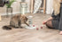 Trixie Cat Activity Gambling Tower Kunststof 25X25X27 Cm