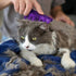 Kong Zoomgroom Paars 11,5X7X3 CM
