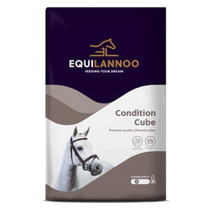 EQUILANNOO CONDITION CUBE