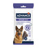 Advance Articular Stick 14X155 Gr