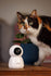 Numaxes Eyenimal Pet Vision Live Hd Camera Zonder Geluid Detectie