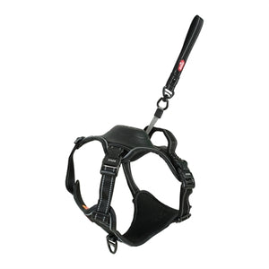 ZOLUX EASYRIDE HONDENTUIG ZWART