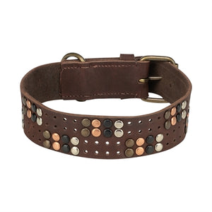 Trixie Halsband Hond Rivet Rustic Vetleer Donkerbruin S-M 34-40X3 Cm