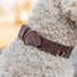 Trixie Halsband Hond Rivet Rustic Vetleer Donkerbruin M 38-47 Cmx4 Cm