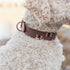 Trixie Halsband Hond Rivet Rustic Vetleer Donkerbruin Xl 55-65 Cmx4 Cm