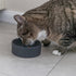 Trixie Voerbak Kat Keramiek Assorti 12 Cm 150 Ml