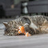 Trixie Draak Met Catnip Pluche Assorti 20 Cm