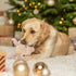 TRIXIE RENDIER MET GELUID PLUCHE