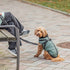 TRIXIE HONDENJAS PONTIS MET TUIG SALIEGROEN