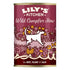 LILY'S KITCHEN DOG WILD CAMPFIRE STEW