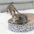 TRIXIE KRABMAT / MAND LEO KARTON MET KATTENKRUID / CATNIP CREME