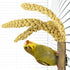 BACK ZOO NATURE GRASS KEEPER