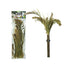 BACK ZOO NATURE MILLET PANICUM