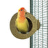 BACK ZOO NATURE COCONUT HOUSE