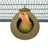 BACK ZOO NATURE COCONUT HOUSE