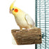 BACK ZOO NATURE WOOD SLICE PERCH