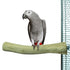 Back Zoo Nature Java Perch Ca. 30X3-4 Cm