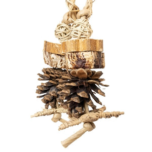 BACK ZOO NATURE FOREST RING