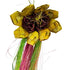 BACK ZOO NATURE SUNFLOWER