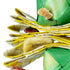BACK ZOO NATURE PALMLEAF TOWER