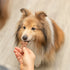 TRIXIE BAKMAT VOOR DIERENSNACKS BOTVORM BPA VRIJ GRIJS