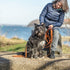 Trixie Sleeplijn Met Rubber Bekleed Zonder Handlus Oranje 15 Mtrx1,5 Cm