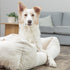 TRIXIE VITAL HONDENMAND JONNA HOEKIG RIBFLUWEEL CREME