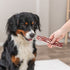 Trixie Premio Bacon Strips Met Eendenborst En Rundvlees 80 Gr