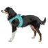 Trixie Hondentuig Urbanvest Mesh Aqua 41-44X1,5 Cm - Xs-S